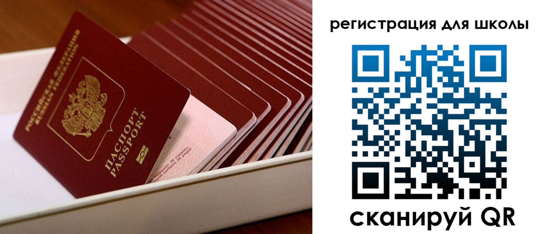 прописка гарантия в Белгороде